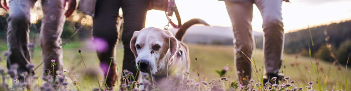 Kurse | Gruppen I Fortbildungen I Seminare I Workshops I Events