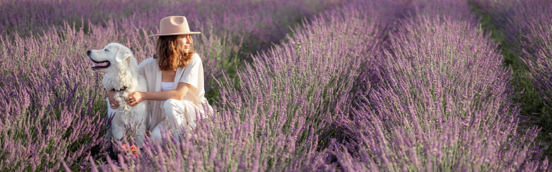 Achtsamkeits- & Resilienztraining für Frauen mit Hund