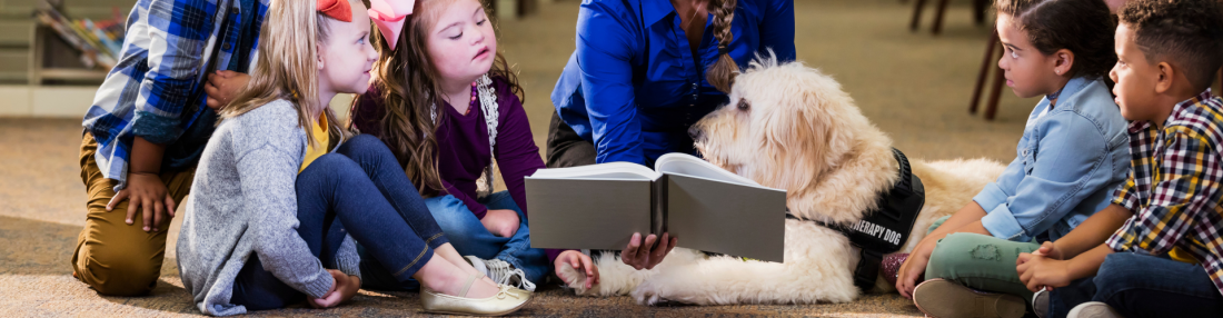 TGI - Tiergestützte Intervention Ausbildung zum  Schulbegleithund / Pädagogikbegleithund & Therapiebegleithund