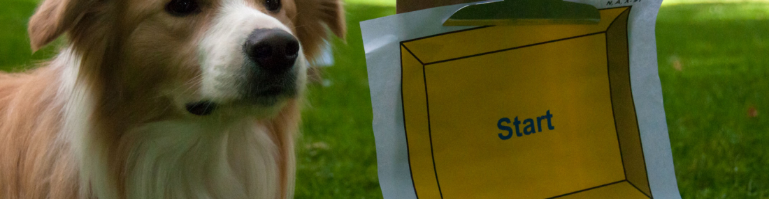 Rally-Obedience - Kurs